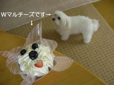 DSCN7041.JPG