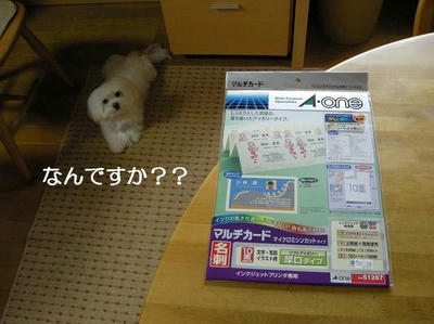 DSCN7044.JPG