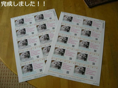 DSCN7048.JPG