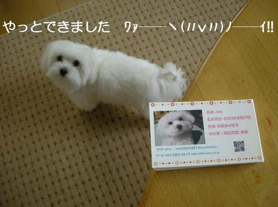 DSCN7050.JPG