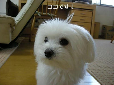 DSCN7023.JPG