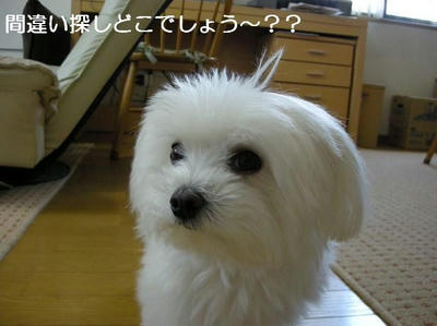DSCN70234.JPG