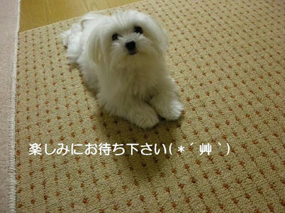 DSCN6998.JPG