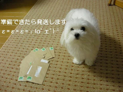 DSCN7485.JPG