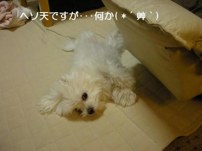 DSCN7486.JPG