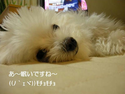 DSCN7491.JPG