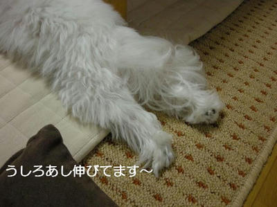 DSCN7507.JPG