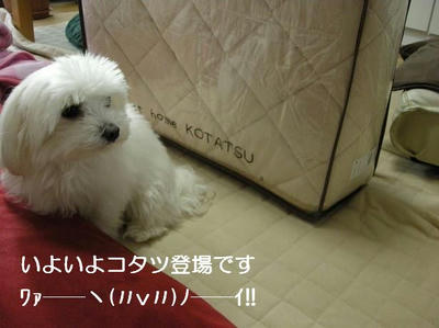 DSCN7531.JPG