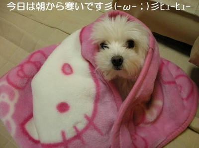 DSCN7534.JPG