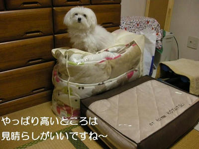 DSCN7541.JPG