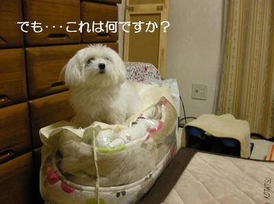 DSCN7545.JPG