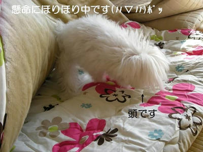 DSCN7547.JPG