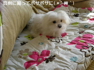 DSCN7548.JPG
