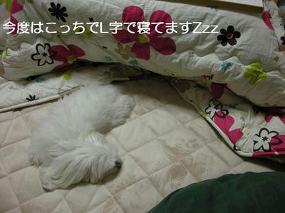 DSCN7577.JPG