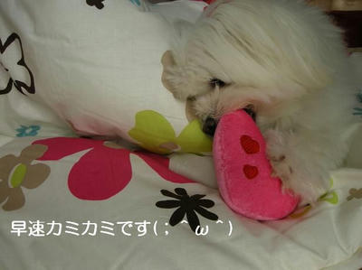 DSCN7585.JPG