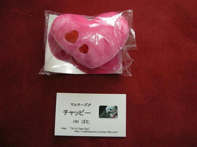 DSCN7589.JPG