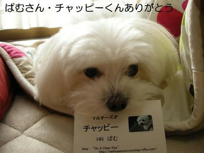 DSCN7596.JPG