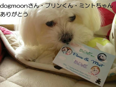 DSCN7597.JPG