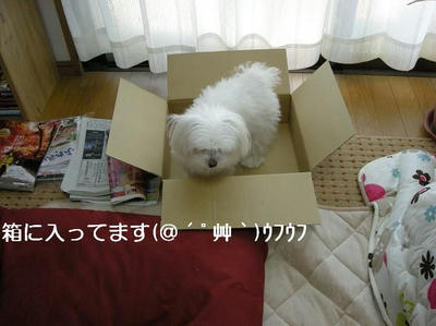 DSCN7578.JPG