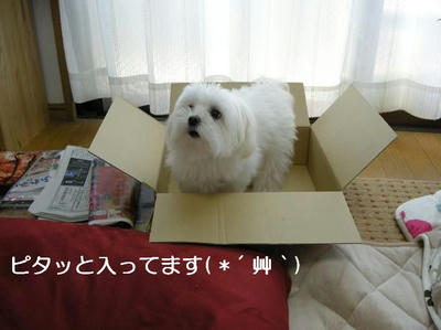 DSCN7579.JPG
