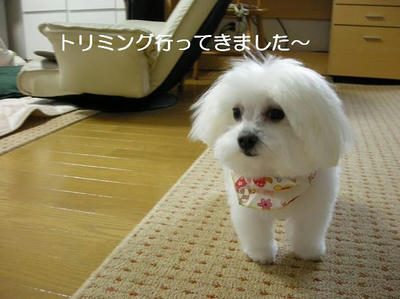 DSCN7616.JPG