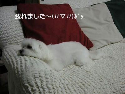 DSCN7624.JPG