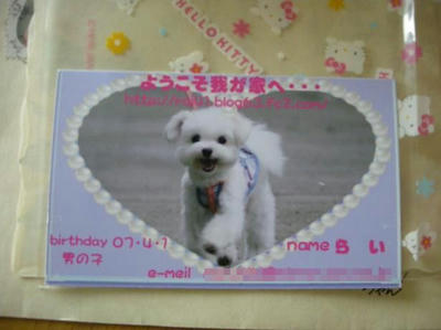 DSCN7654.JPG