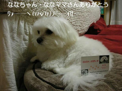 DSCN7658.JPG