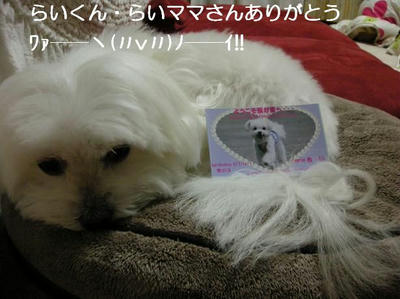 DSCN7661.JPG