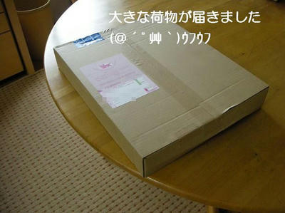 DSCN7662.JPG