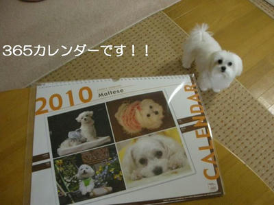 DSCN7665.JPG