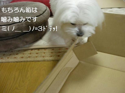 DSCN7673.JPG