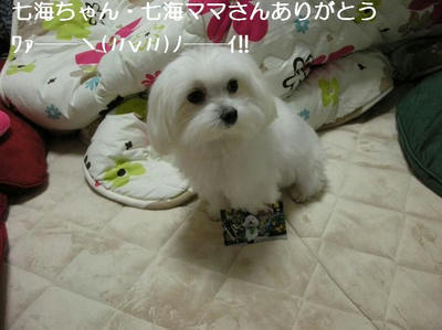 DSCN7681.JPG