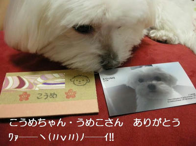 DSCN7684.JPG