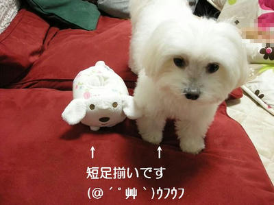 DSCN7689.JPG