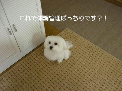 DSCN7651.JPG
