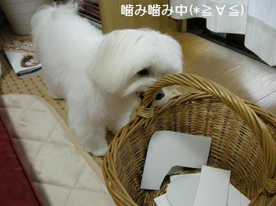 DSCN7630.JPG
