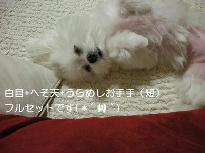 DSCN7638.JPG