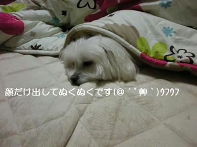 DSCN7700.JPG