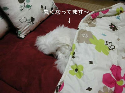 DSCN7715.JPG