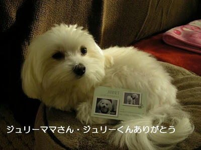 DSCN7743.JPG