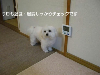 DSCN7709.JPG
