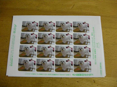 DSCN7744.JPG