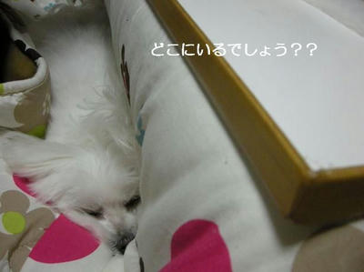 DSCN7695.JPG