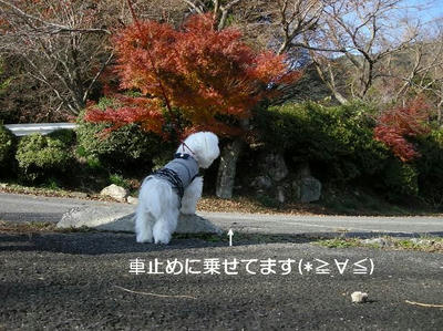 DSCN7812.JPG