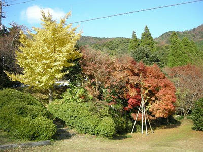 DSCN7814.JPG