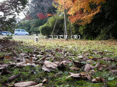 DSCN7866.JPG