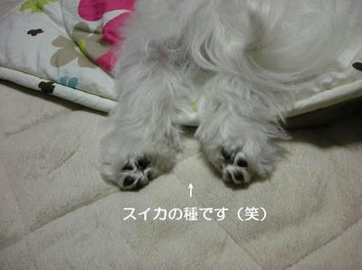 DSCN7869.JPG