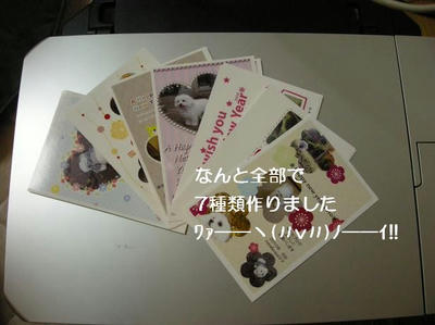 DSCN7871.JPG