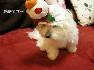 DSCN7749.JPG